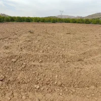 زمین کشاورزی اب شخصی|فروش زمین و ملک کلنگی|بوستان, |دیوار