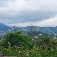 زمینی دلربا با ویوی بی همتا کوه وجنگل/ پروانه ساخت