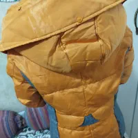 کاپشن دخترانه خارجی|لباس|چناران, |دیوار