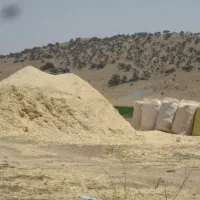 فروش کاه سفید