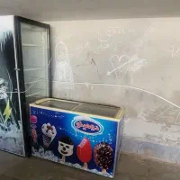 یخچال ایستاده و یخچال بستنی
