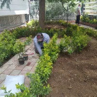 کلیه کار باغبانی هرس کاری تعویض خاک گلدان|خدمات باغبانی و درختکاری|تهران, تجریش|دیوار