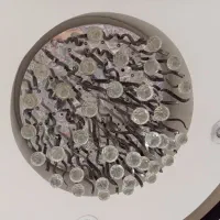 فروش|لوستر و چراغ آویز|شفت, |دیوار