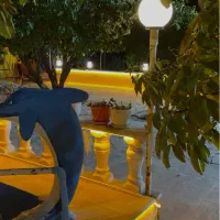 باغ نیاوران جایی شیک برای مهمونی تولد های شما|خدمات پذیرایی، مراسم|قزوین, |دیوار