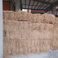 کاه شالی(کمل)