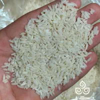 برنج هاشمی|خوردنی و آشامیدنی|هشتگرد, گلسار|دیوار