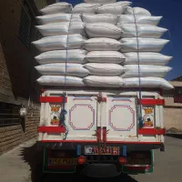 سلام کاه گندم درجه یک مرغوب تحویل‌دربه‌دامداری