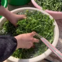 سبزی خورشتی