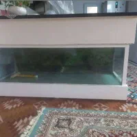 آکواریوم بزرگ مفت