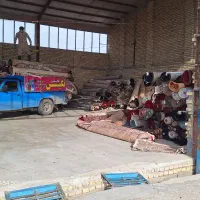 قالیشویی نگین|خدمات نظافت|سبزوار, جهاد کشاورزی|دیوار