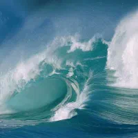 سیم کارت کد 7