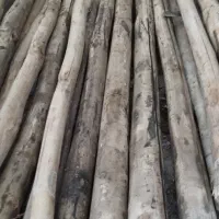 مساله ساختمان|مصالح و تجهیزات ساختمان|نمین, |دیوار