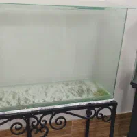 اکواریوم شیشه خم