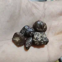 شهاب سنگ مریخی