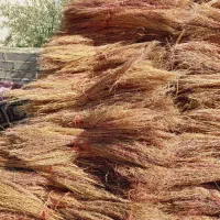 جارو|لوازم نظافت|کرمانشاه, |دیوار