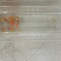 حراج میز ناهارخور لوستر تخت کودک موزیکال ساعت بخور|میز و صندلی غذاخوری|تهران, سهروردی|دیوار