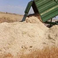 کاه گندم فروشی تقریبا ۶۰ تا کیسه میشه