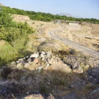 باغ-اسفنجان