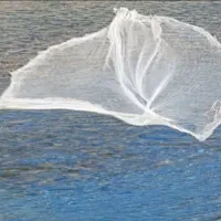 توردستی.پرتابی.سلیه