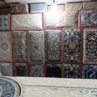 موکت در تنوع طرح و رنگ ، موکت مژه دار|موکت|بیرجند, |دیوار