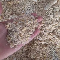 ماکارانی دامی خوراک دام