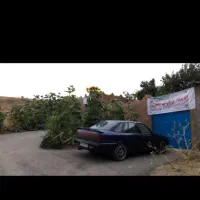 اجاره ویلایی در روستای اطراف شازند ۴۵۰ متری مبله|اجارهٔ خانه و ویلا|شازند, |دیوار