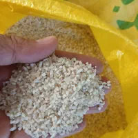 فروش چندکیلوبرنج عنبربوبه شرط پخت وبوی عاالی