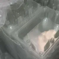 شانه تخم مرغ ۶عددی طلقی|ظروف نگهدارنده، پلاستیکی، یک‌بارمصرف|بندرعباس, |دیوار