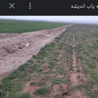 اجاره زمین کشاورزی