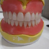 دندانسازی ویهان