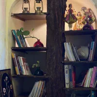 رهن و اجاره خانه سنتی|اجارهٔ مغازه و غرفه|شیراز, لب آب|دیوار