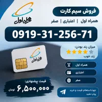 0919-31-256-71