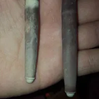 مهره اصل تجربه شده