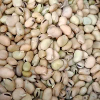 باقالی خشک|خوردنی و آشامیدنی|بهارستان, |دیوار