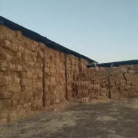 فروش پرس کاه و کلش کیلویی۸۵۰۰