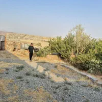 570 متر باغ میوه فشند ،درختان مثمر، آلاچیق|فروش زمین و ملک کلنگی|هشتگرد, فشند|دیوار