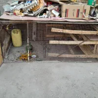 فروش قفس بزرگ