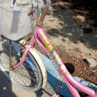 دوچرخه سایز ۲۴ کاملا سالم|دوچرخه، اسکیت، اسکوتر|کیش, |دیوار