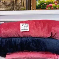 موکت|موکت|قزوین, |دیوار