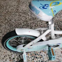 دوتا دوچرخه از دبی|دوچرخه، اسکیت، اسکوتر|شوش, |دیوار