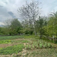 سند|خدمات پیشه و مهارت|توتکابن, |دیوار