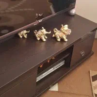 فرش وزیر تلویزیونی