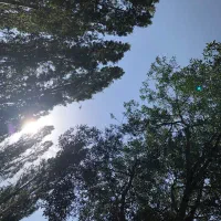 همخونه میشم