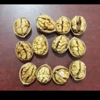 گردو درجه ۱ پوست کاغذی|خوردنی و آشامیدنی|اصفهان, نقش جهان|دیوار
