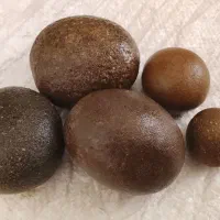پنج تا سنگ گرد کلکسیونی