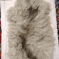 پوست دباغی شده