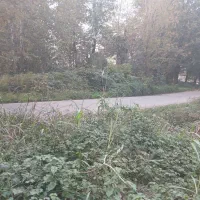 زمین بر۲ آس زیر قیمت مناسب مغازه و انبار|فروش زمین و ملک کلنگی|رشت, آب آسیاب|دیوار