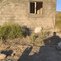 بنا