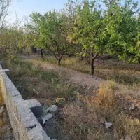 باغ-چهاردیواری300-متری-سند-تک-برگ-دهشاد-شهریار