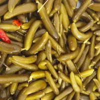 پخش انواع خیارشور تهران کرج